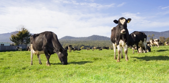 CBA writes sustainable loan for agri business