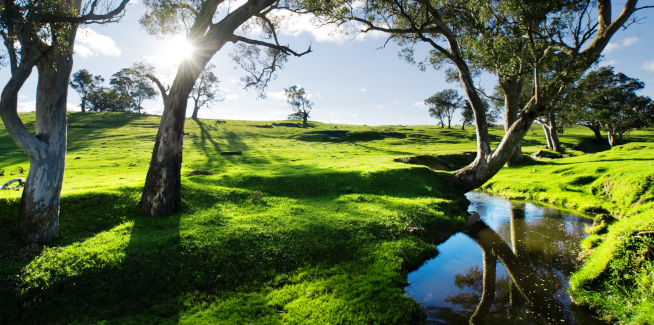 Hinterland, rising in demand